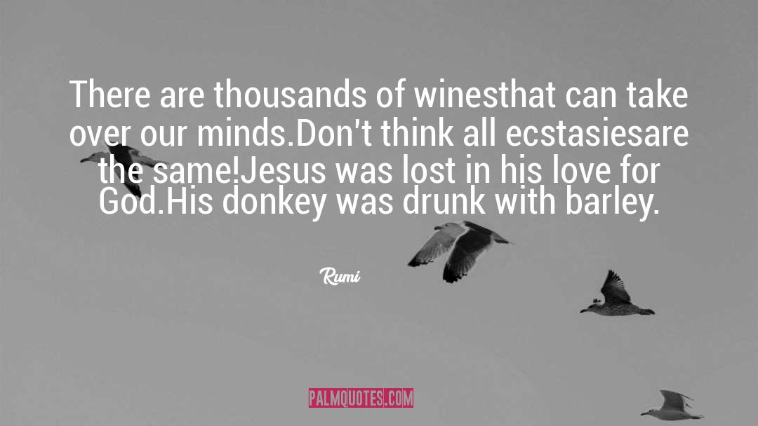 Terrien Wines quotes by Rumi