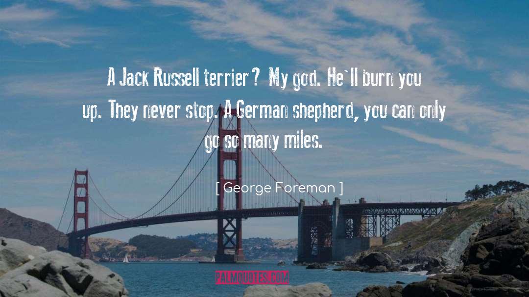 Terriers quotes by George Foreman