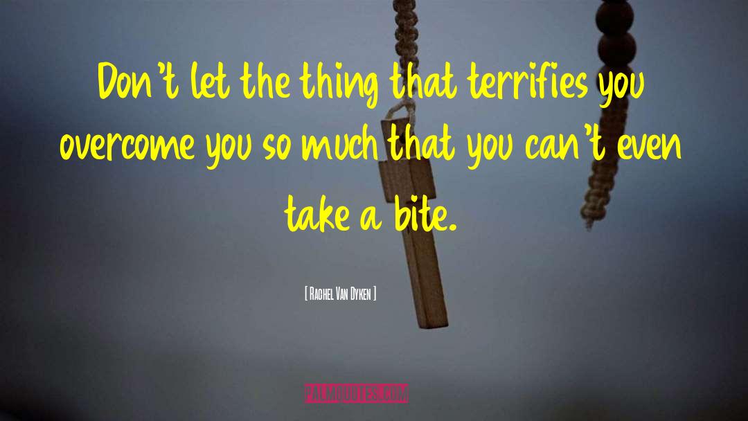 Terrifies quotes by Rachel Van Dyken