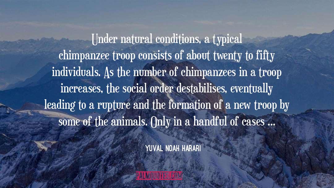 Territory quotes by Yuval Noah Harari