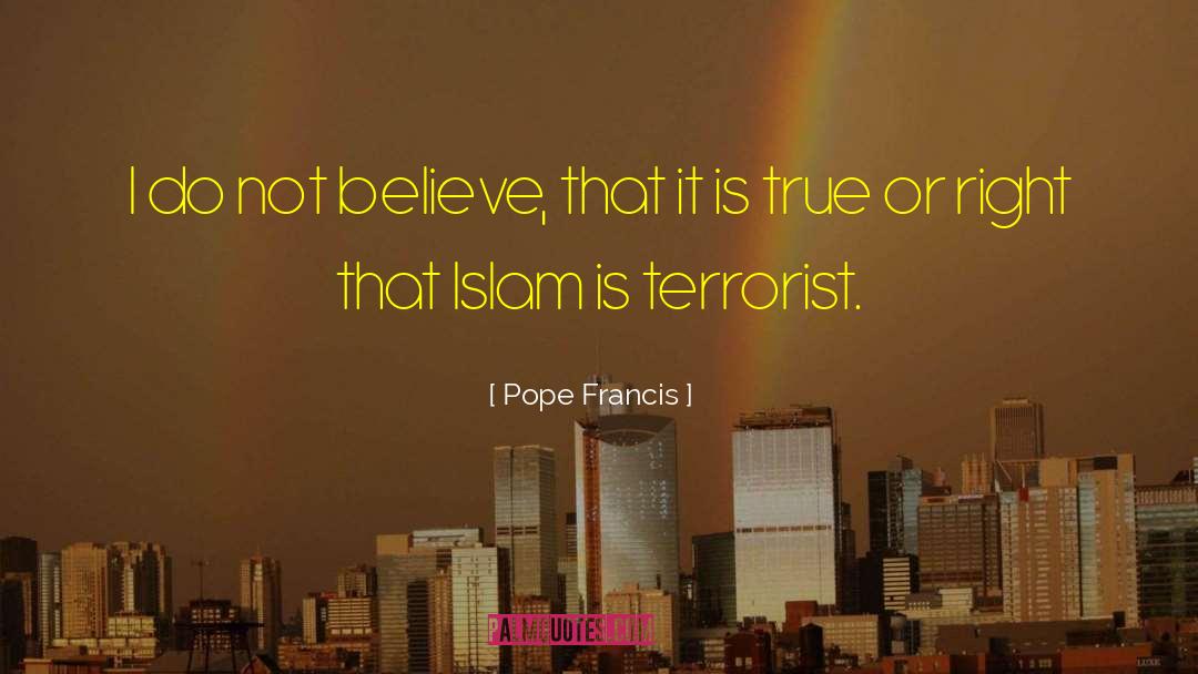 Terrorist Attacks quotes by Pope Francis