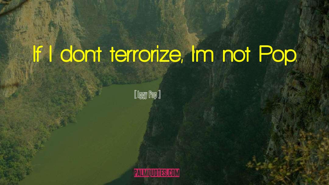 Terrorize quotes by Iggy Pop