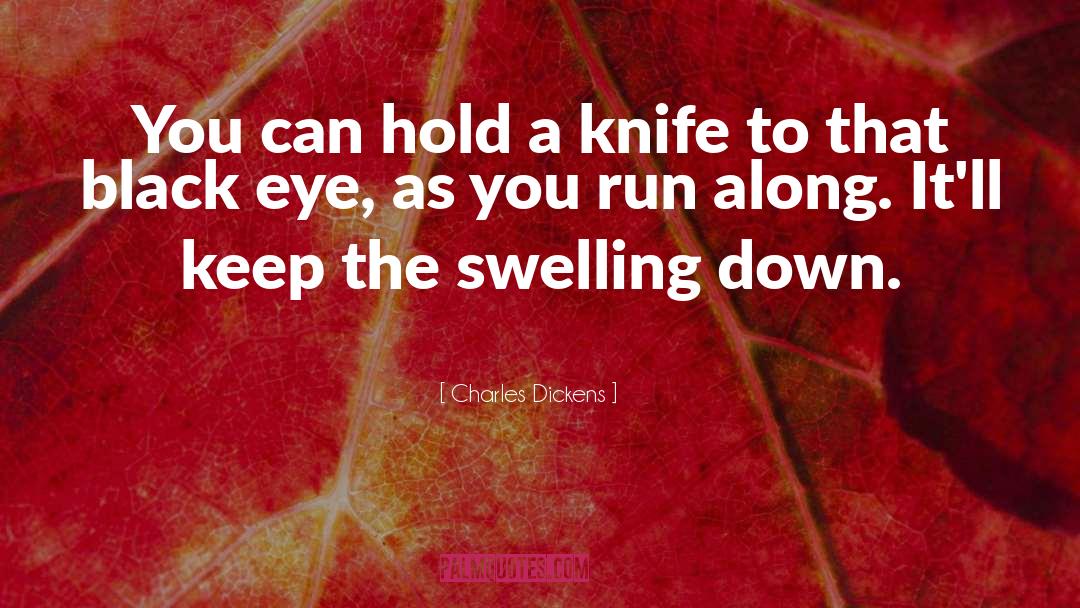 Tesshu Knife quotes by Charles Dickens