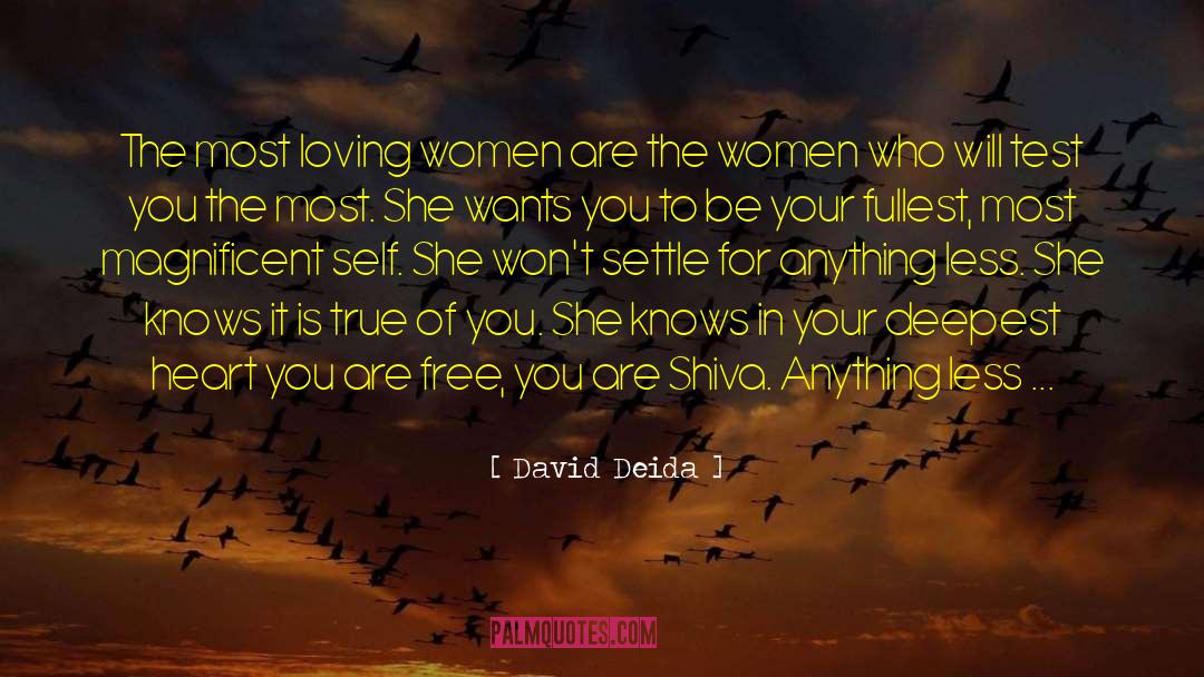 Test Of Wits quotes by David Deida