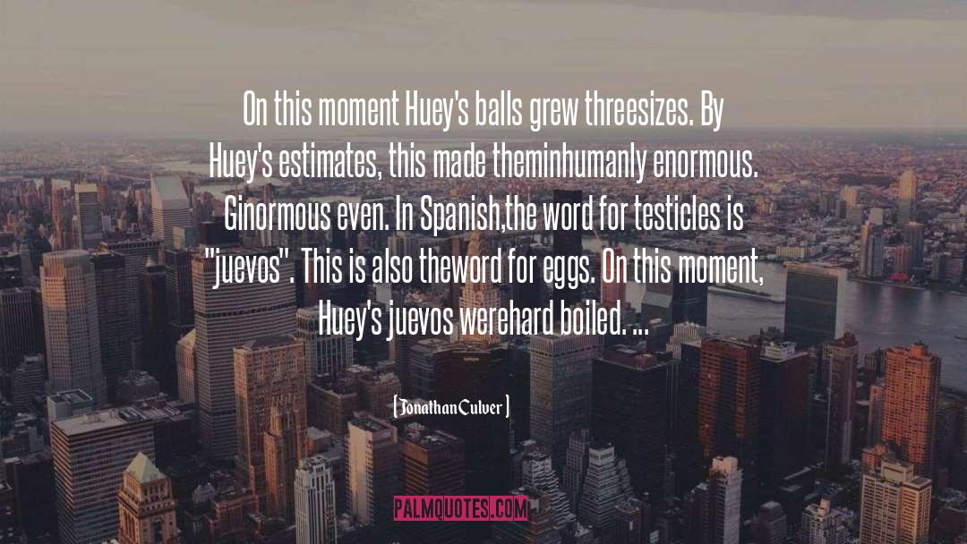 Testicles quotes by Jonathan Culver