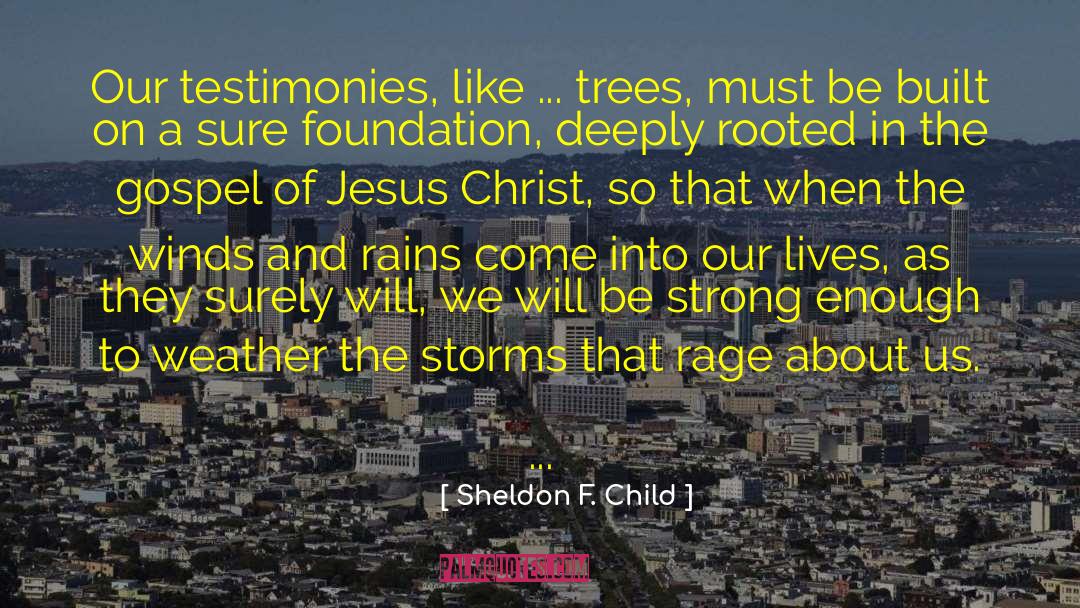 Testimonies quotes by Sheldon F. Child