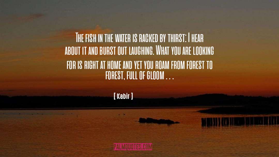 Testing The Water quotes by Kabir