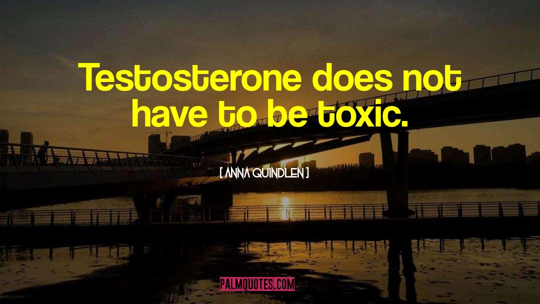 Testosterone Poisoning quotes by Anna Quindlen