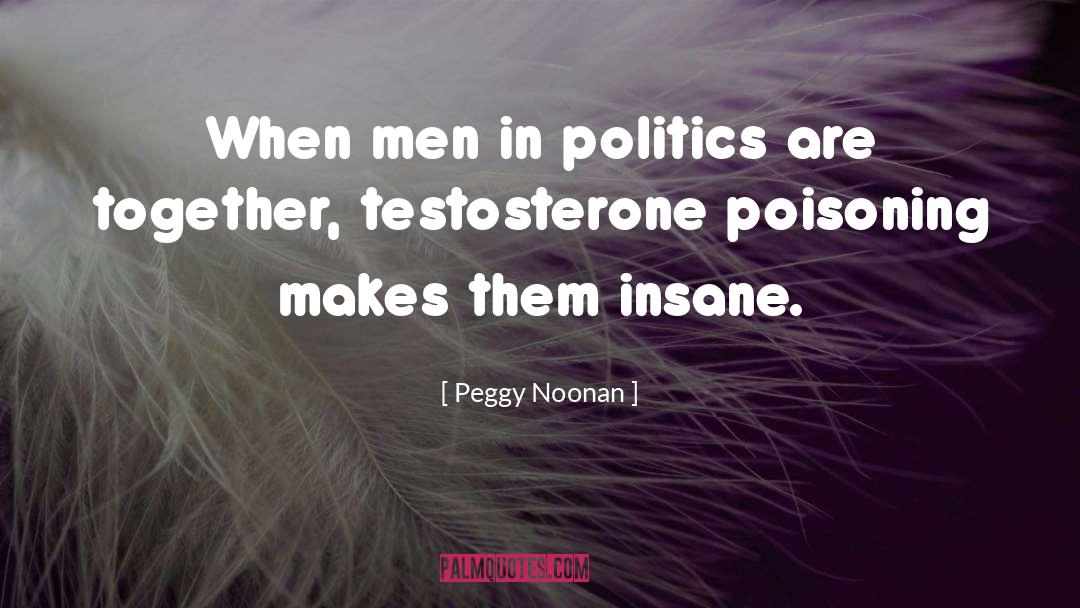 Testosterone Poisoning quotes by Peggy Noonan