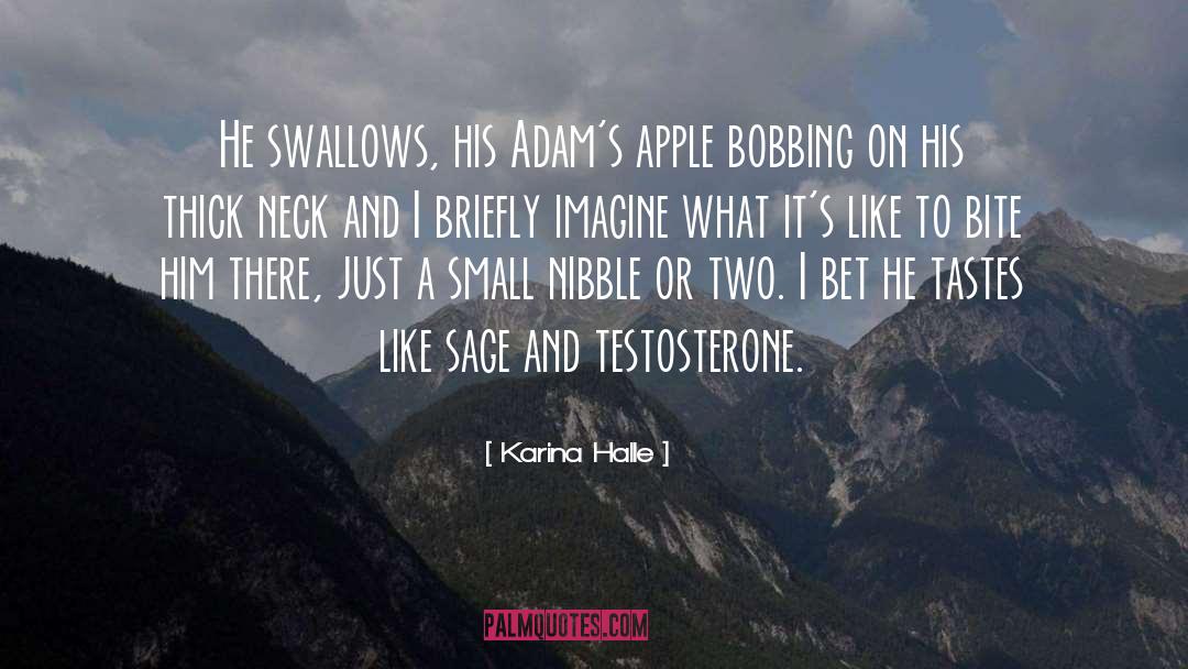 Testosterone quotes by Karina Halle