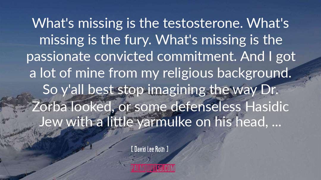 Testosterone quotes by David Lee Roth