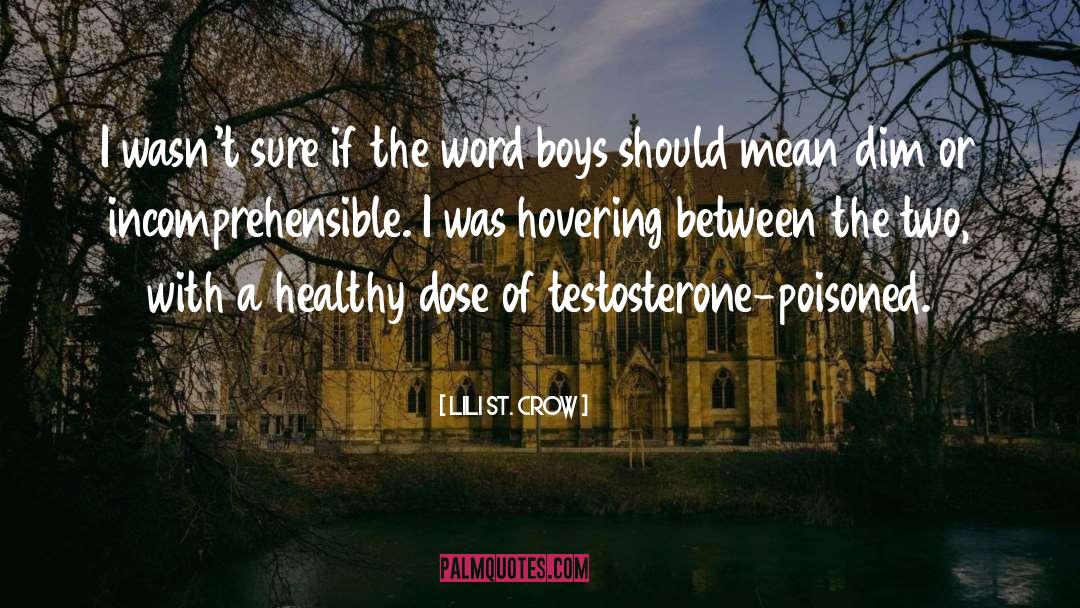 Testosterone quotes by Lili St. Crow