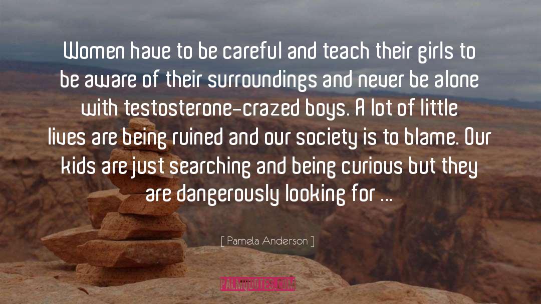 Testosterone quotes by Pamela Anderson