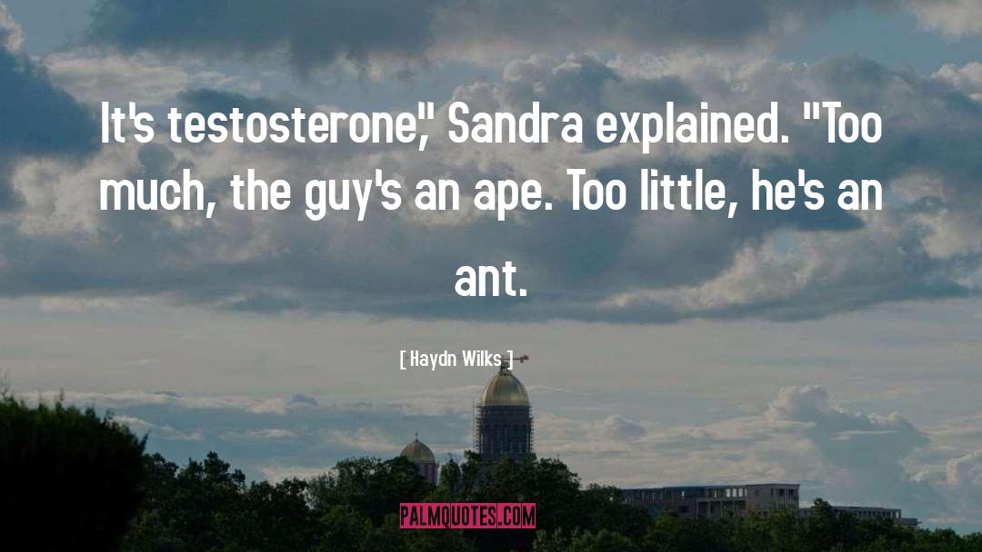 Testosterone quotes by Haydn Wilks