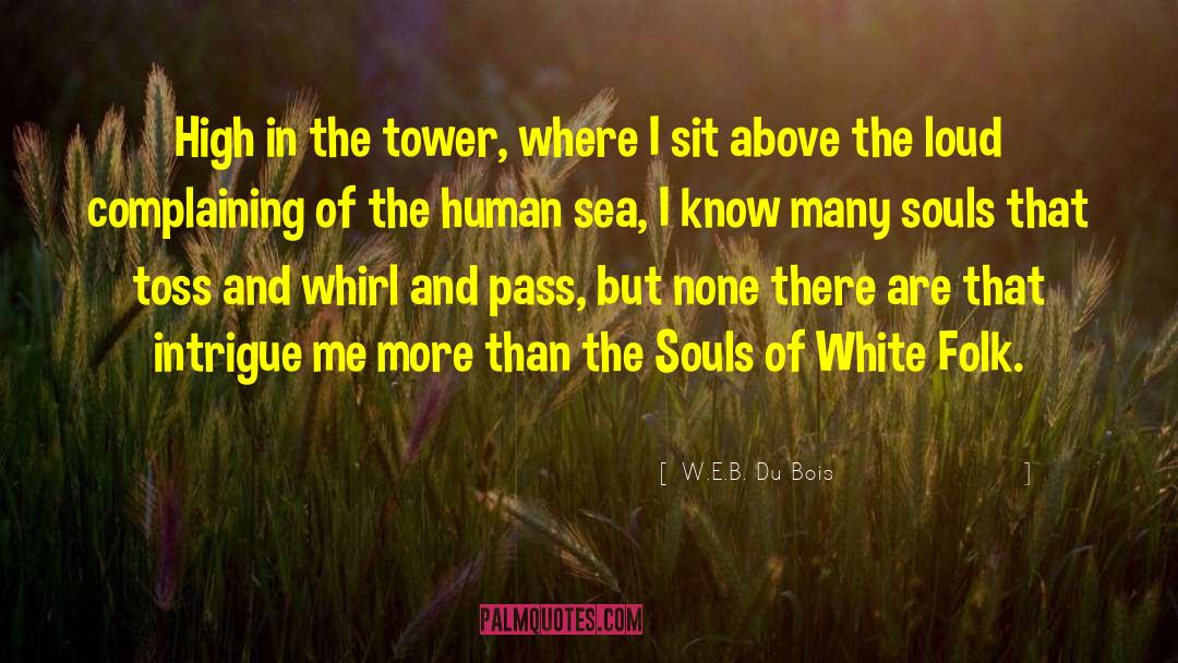 Tethys Sea quotes by W.E.B. Du Bois