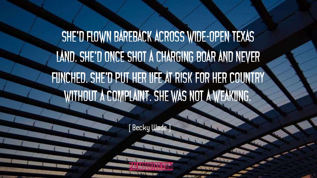 Texas Romance quotes by Becky Wade