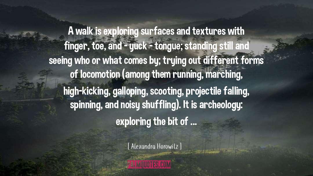 Textures quotes by Alexandra Horowitz
