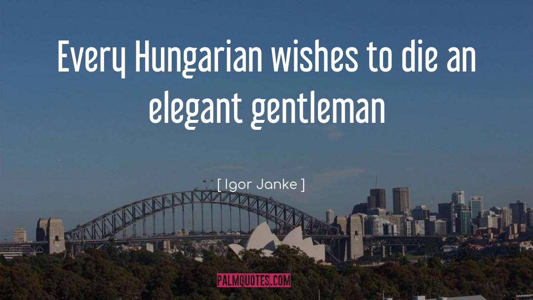 Thank You For Being A Gentleman quotes by Igor Janke