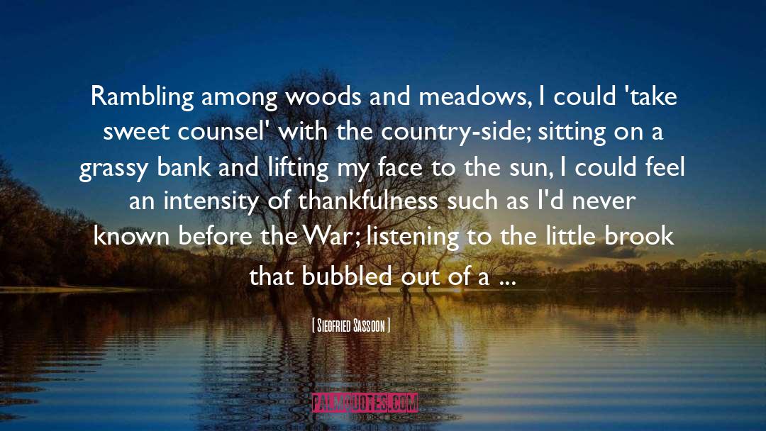 Thankfulness quotes by Siegfried Sassoon