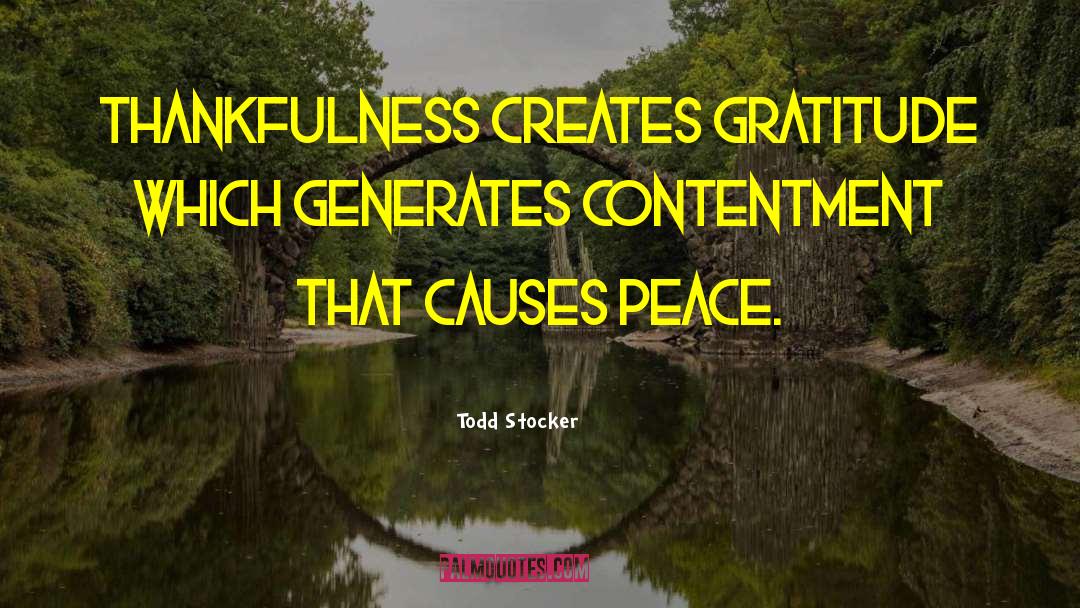 Thankfulness quotes by Todd Stocker