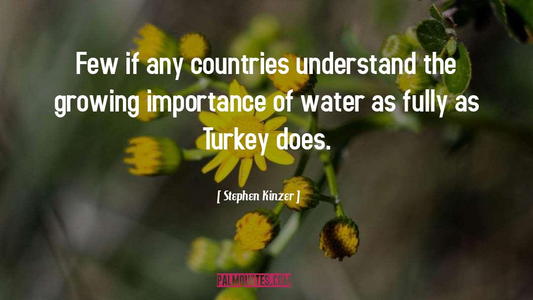 Thanksgiving Turkey quotes by Stephen Kinzer