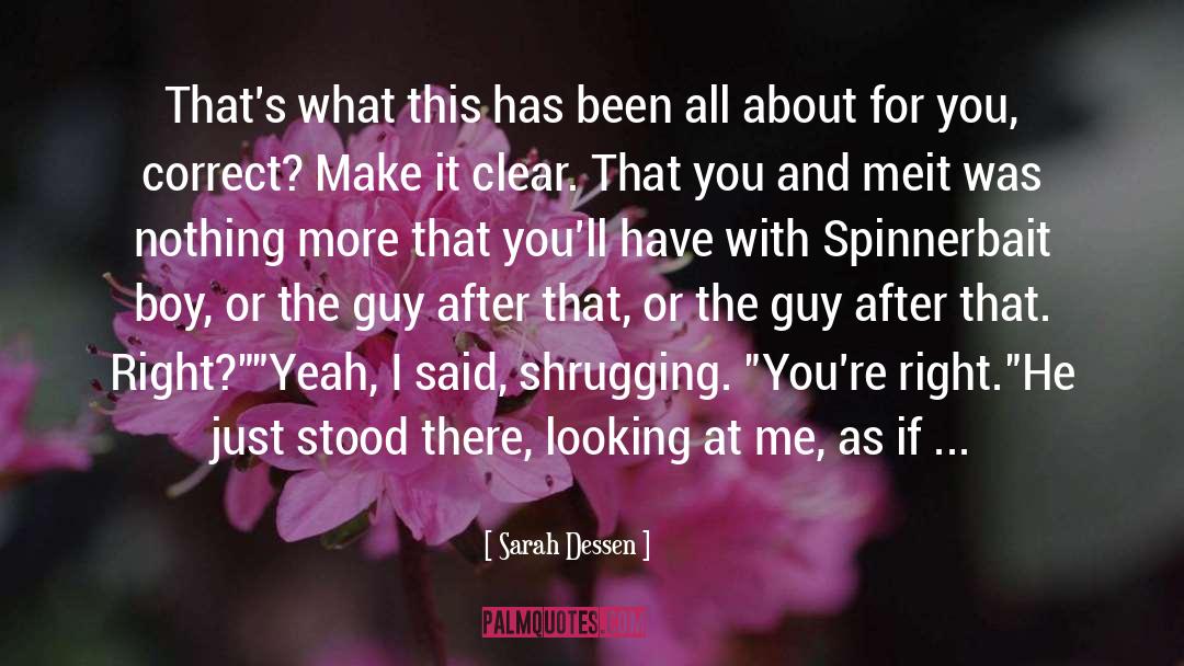 That Guy You Like quotes by Sarah Dessen