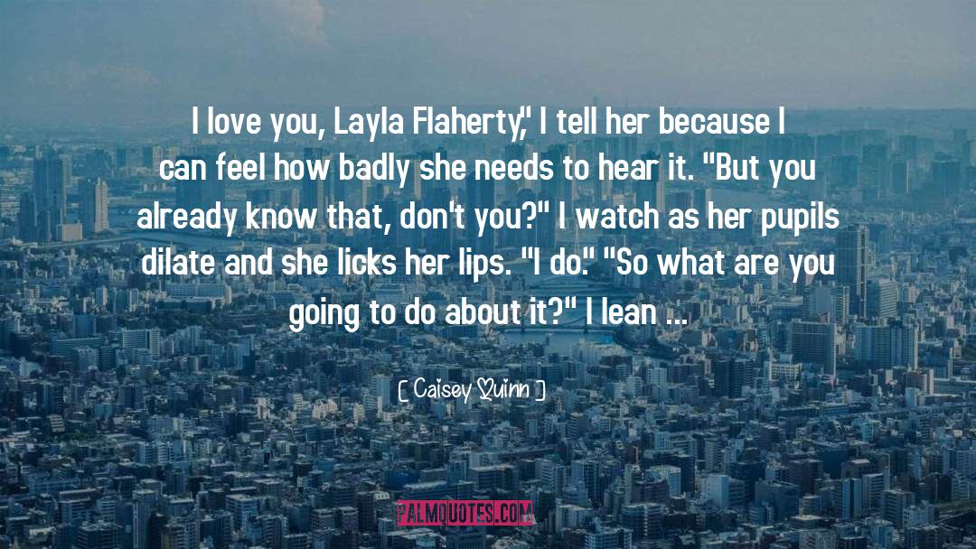 That Love Hate quotes by Caisey Quinn