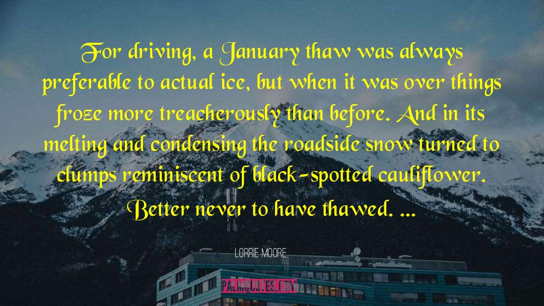 Thawed quotes by Lorrie Moore