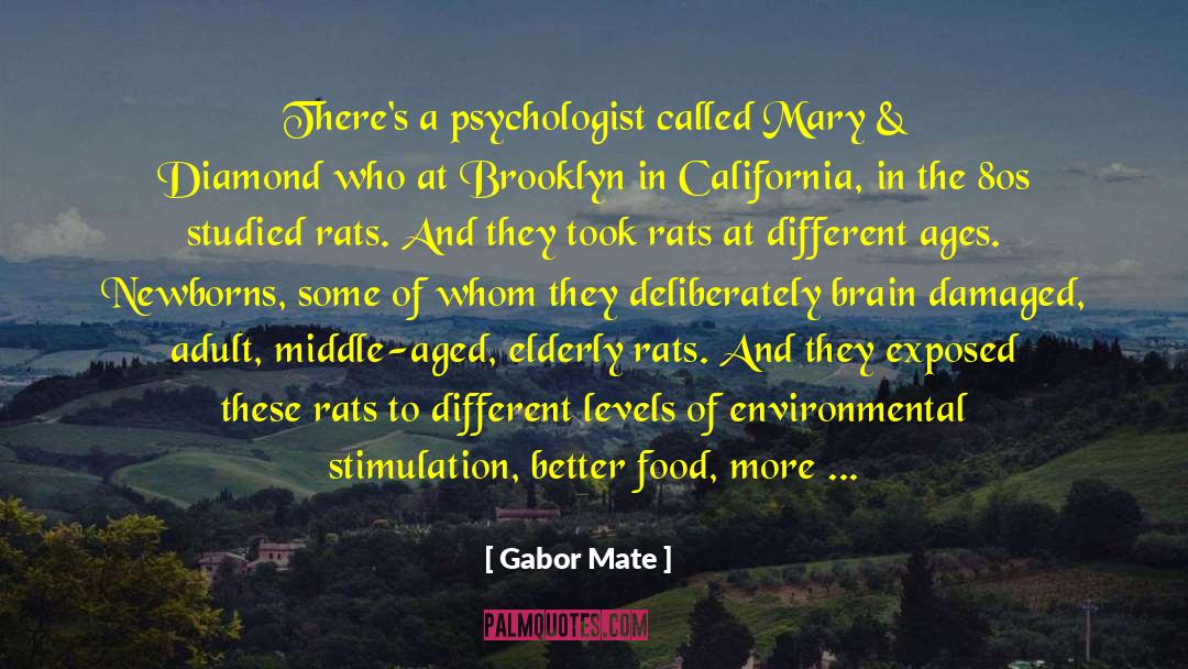 The 80s quotes by Gabor Mate