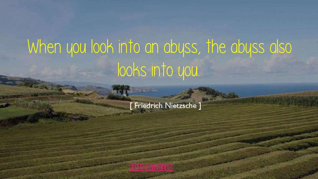 The Abyss Looks Back quotes by Friedrich Nietzsche
