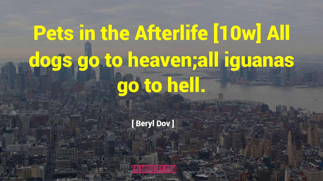The Afterlife quotes by Beryl Dov