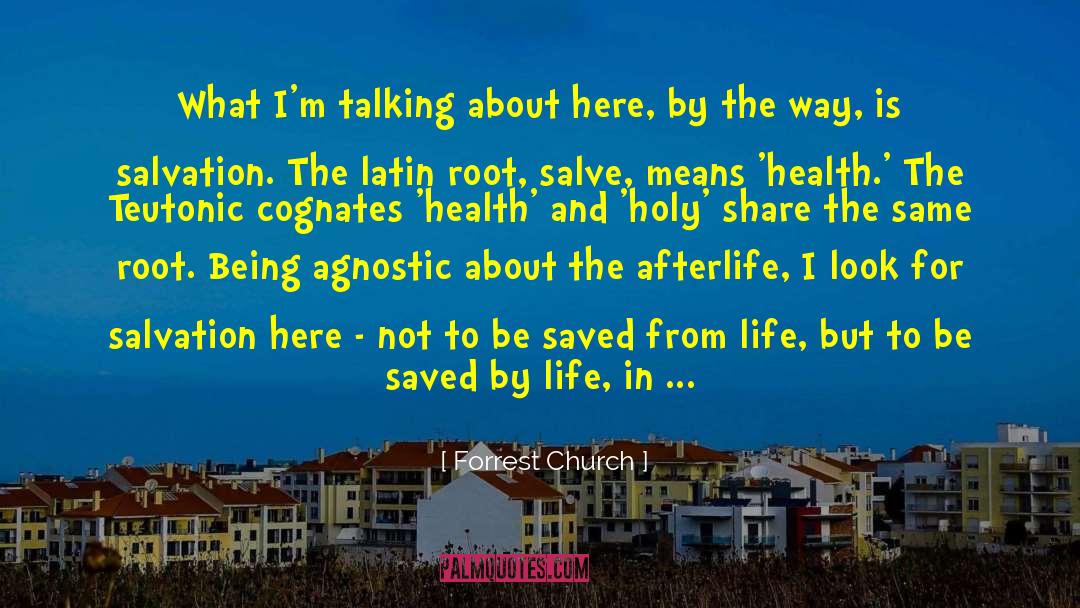 The Afterlife quotes by Forrest Church