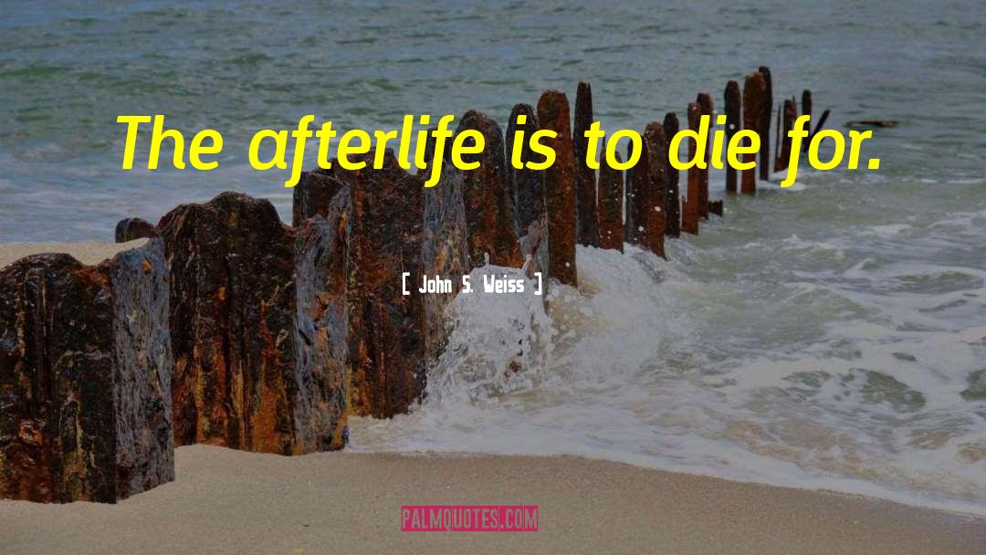 The Afterlife quotes by John S. Weiss