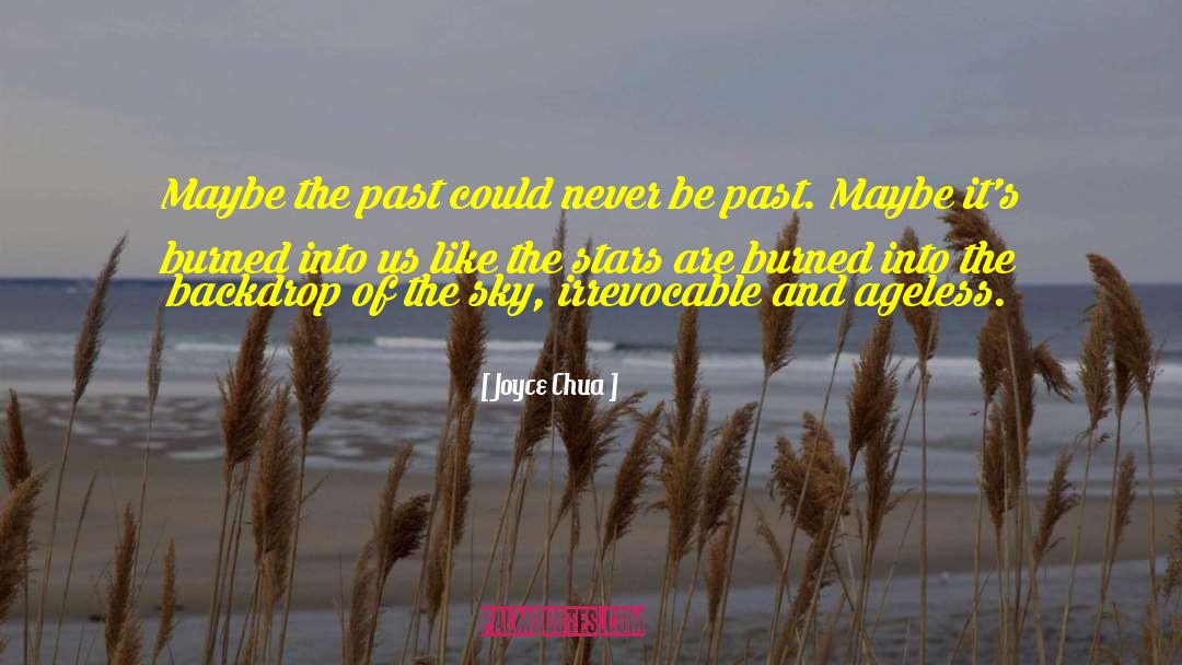 The Ageless Duel quotes by Joyce Chua