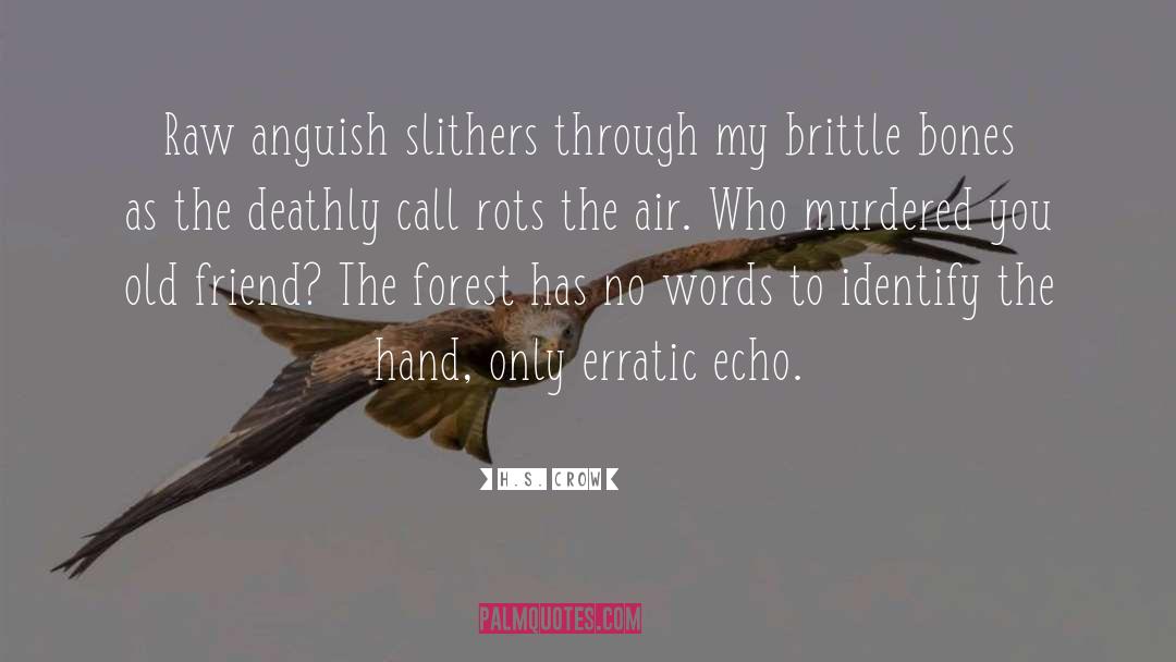 The Air quotes by H.S. Crow