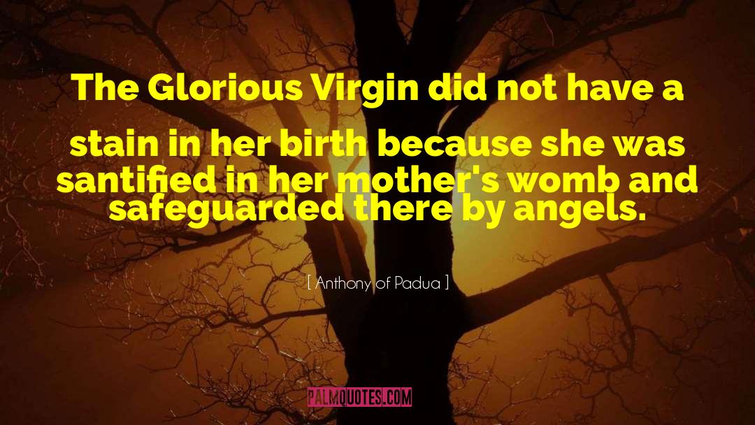 The Albanian Virgin quotes by Anthony Of Padua