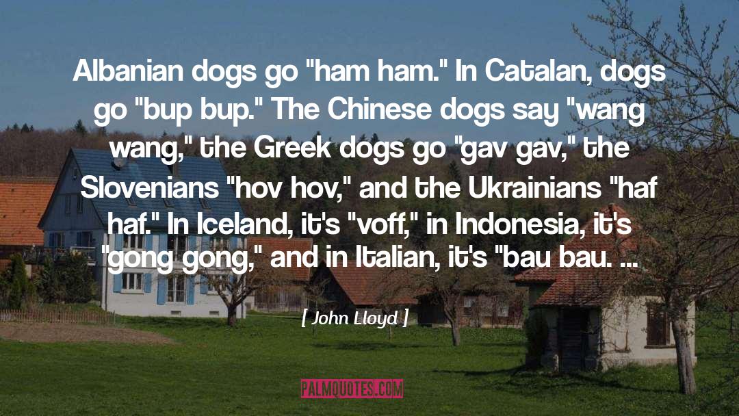 The Albanian Virgin quotes by John Lloyd