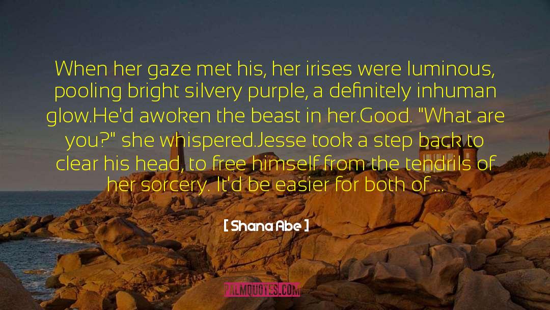 The Alchemist And The Angel quotes by Shana Abe