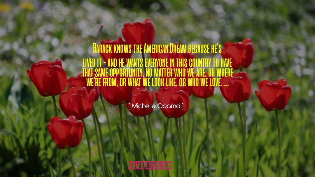 The American Dream quotes by Michelle Obama