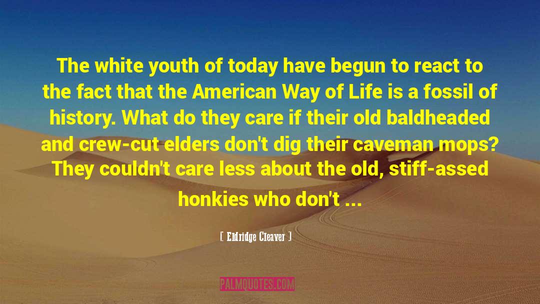 The American Way quotes by Eldridge Cleaver