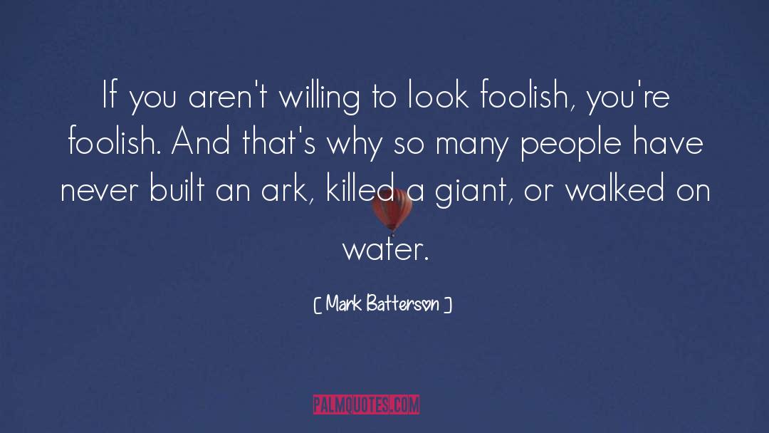 The Ark quotes by Mark Batterson