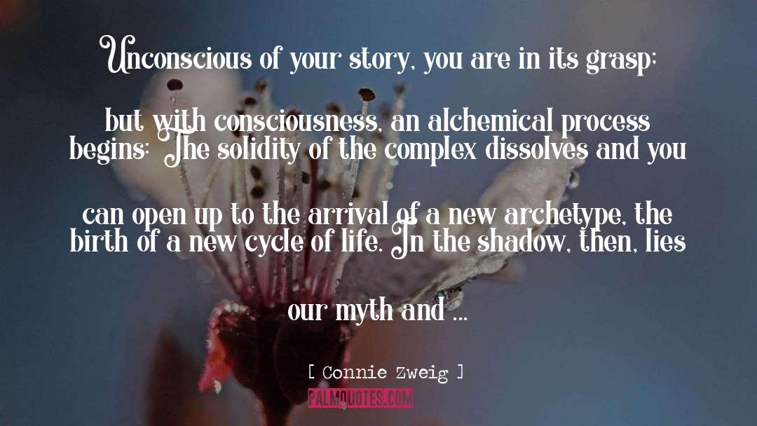 The Arrival quotes by Connie Zweig