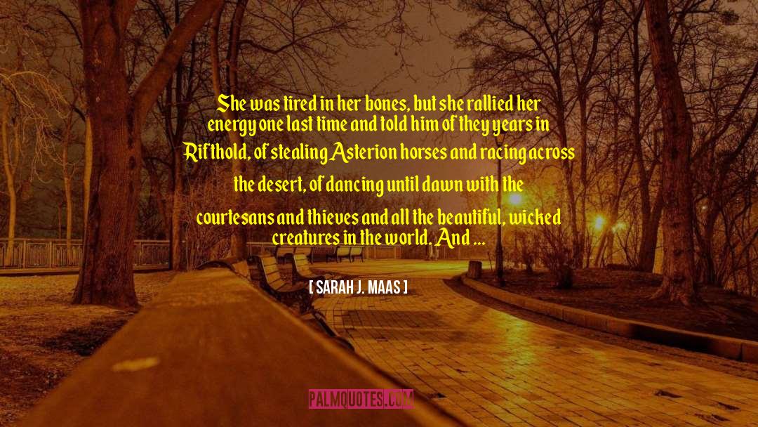 The Art Of Racing In The Rain quotes by Sarah J. Maas