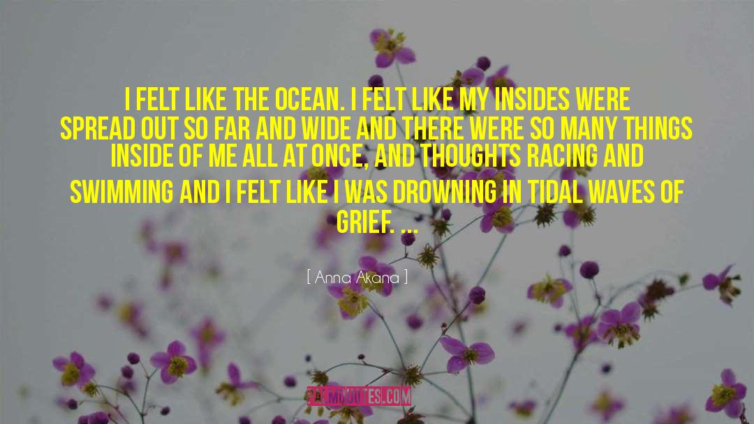 The Art Of Racing In The Rain quotes by Anna Akana