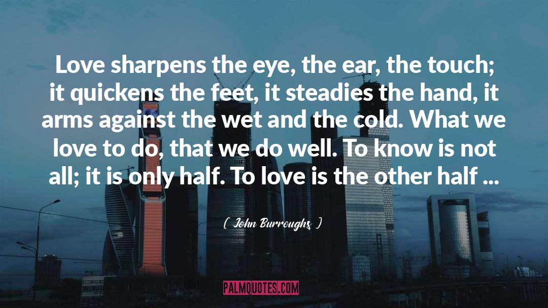 The Art Of Seeing Things quotes by John Burroughs
