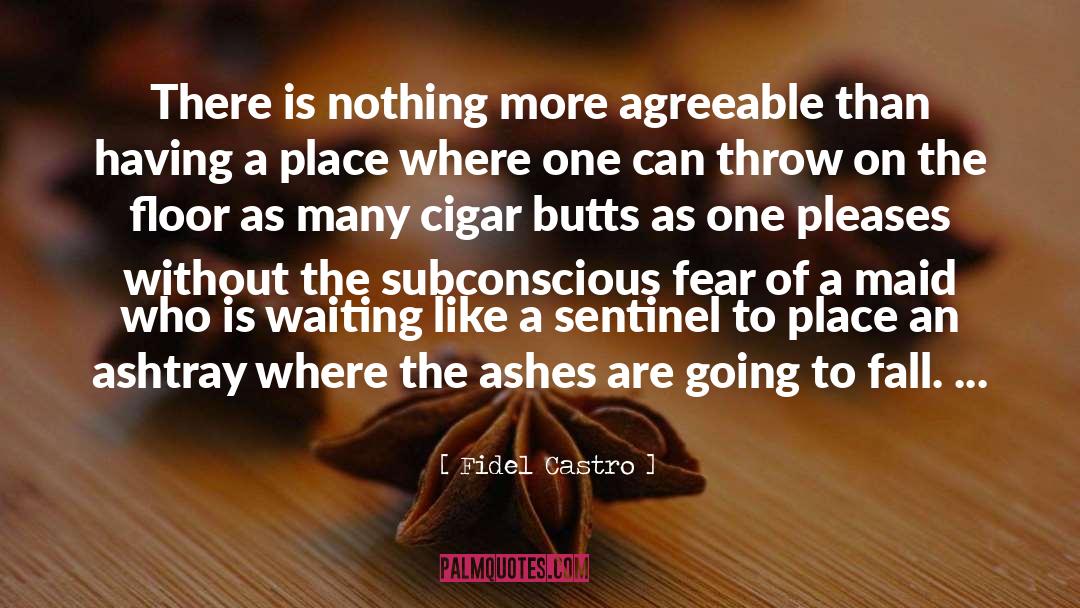 The Ashes quotes by Fidel Castro
