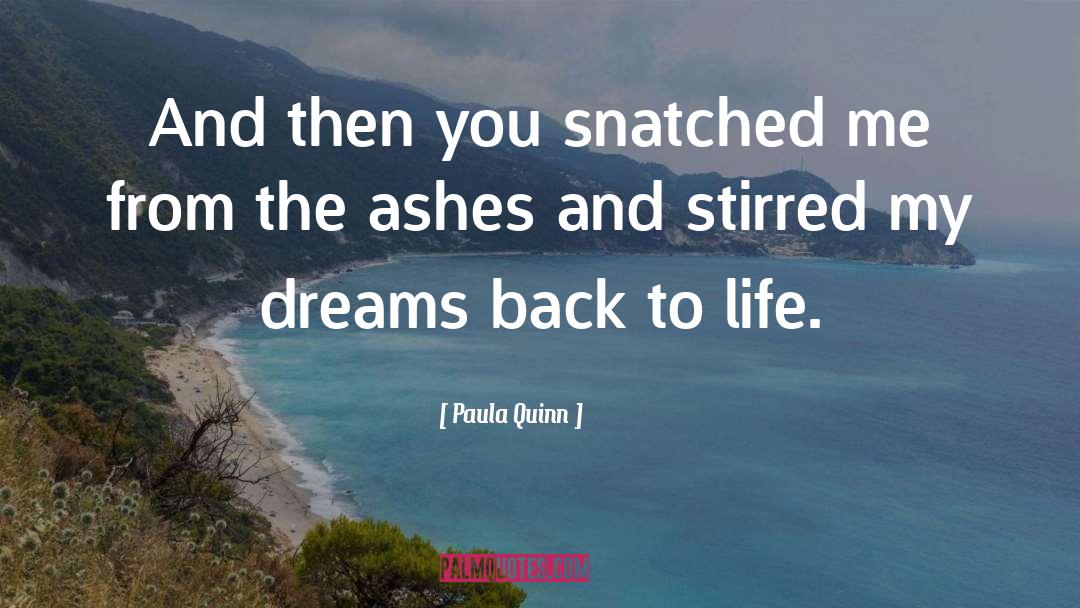 The Ashes quotes by Paula Quinn
