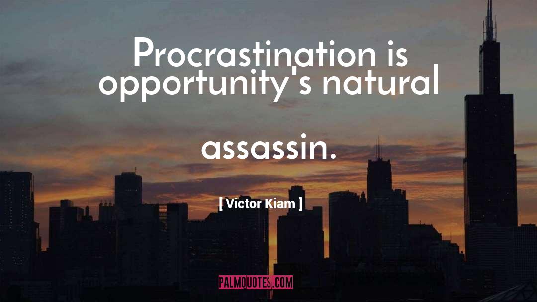 The Assassin quotes by Victor Kiam