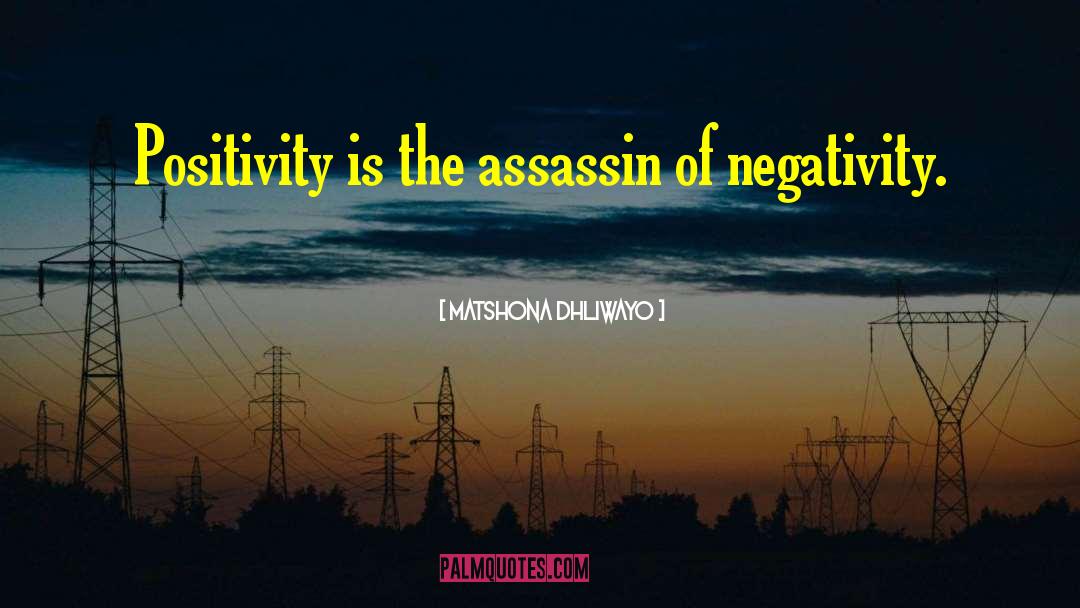 The Assassin quotes by Matshona Dhliwayo