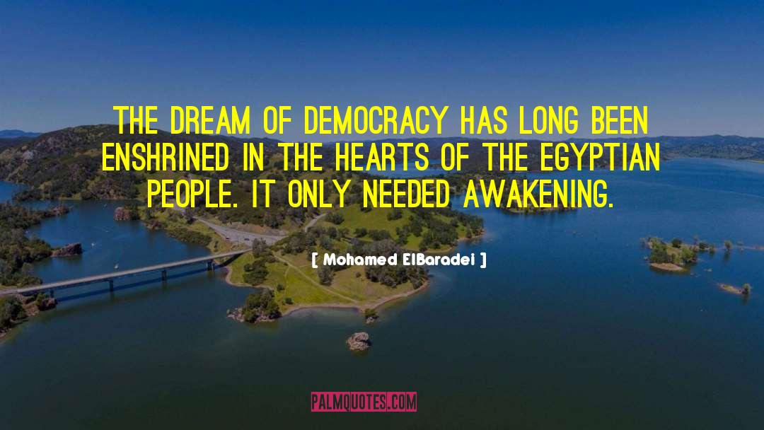 The Awakening Of Intelligence quotes by Mohamed ElBaradei